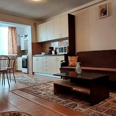 Spacious Flat, With Free Parking & Air Conditioning Флорешть Екстер'єр фото