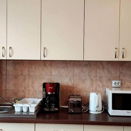 Spacious Flat, With Free Parking & Air Conditioning Флорешть Екстер'єр фото