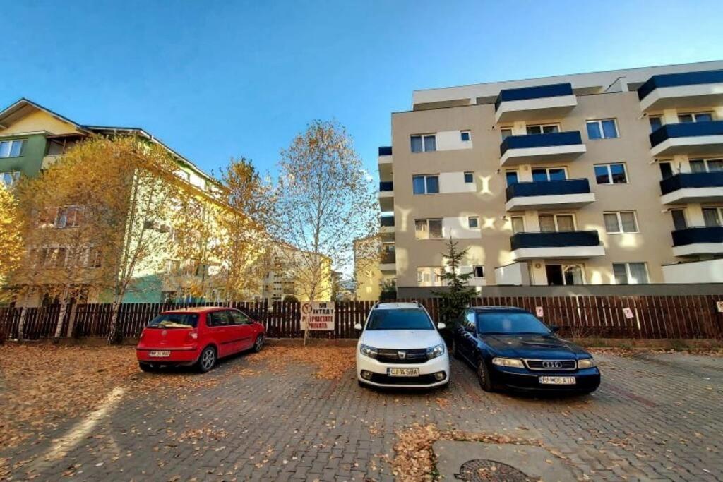 Spacious Flat, With Free Parking & Air Conditioning Флорешть Екстер'єр фото