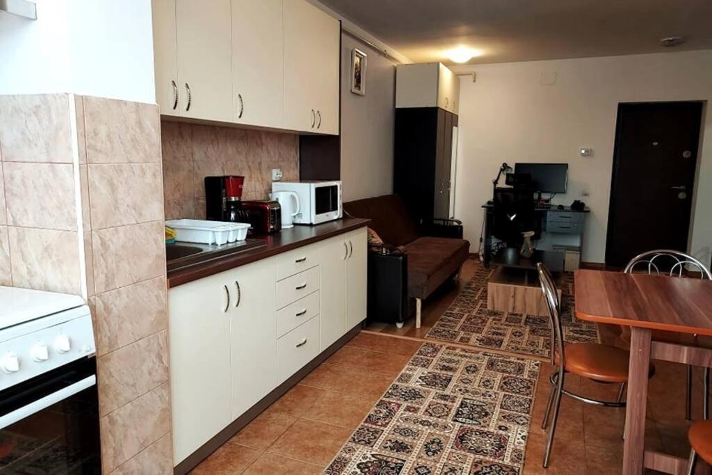 Spacious Flat, With Free Parking & Air Conditioning Флорешть Екстер'єр фото