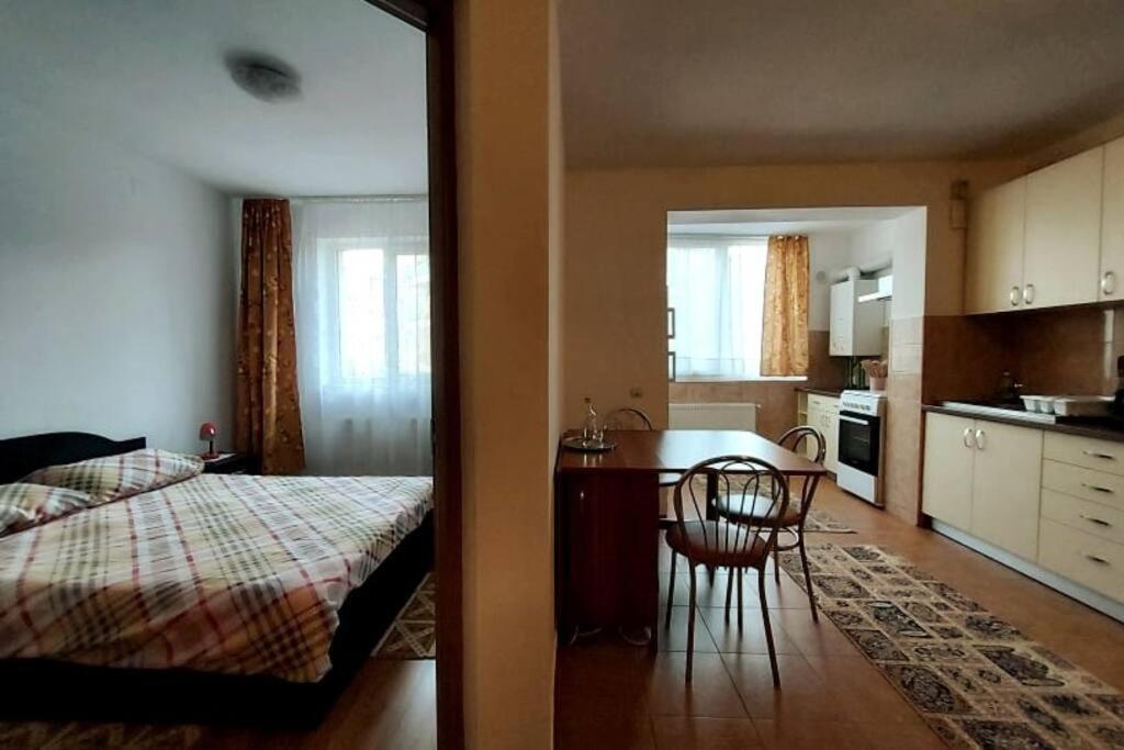Spacious Flat, With Free Parking & Air Conditioning Флорешть Екстер'єр фото