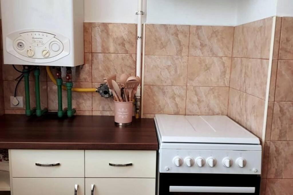Spacious Flat, With Free Parking & Air Conditioning Флорешть Екстер'єр фото