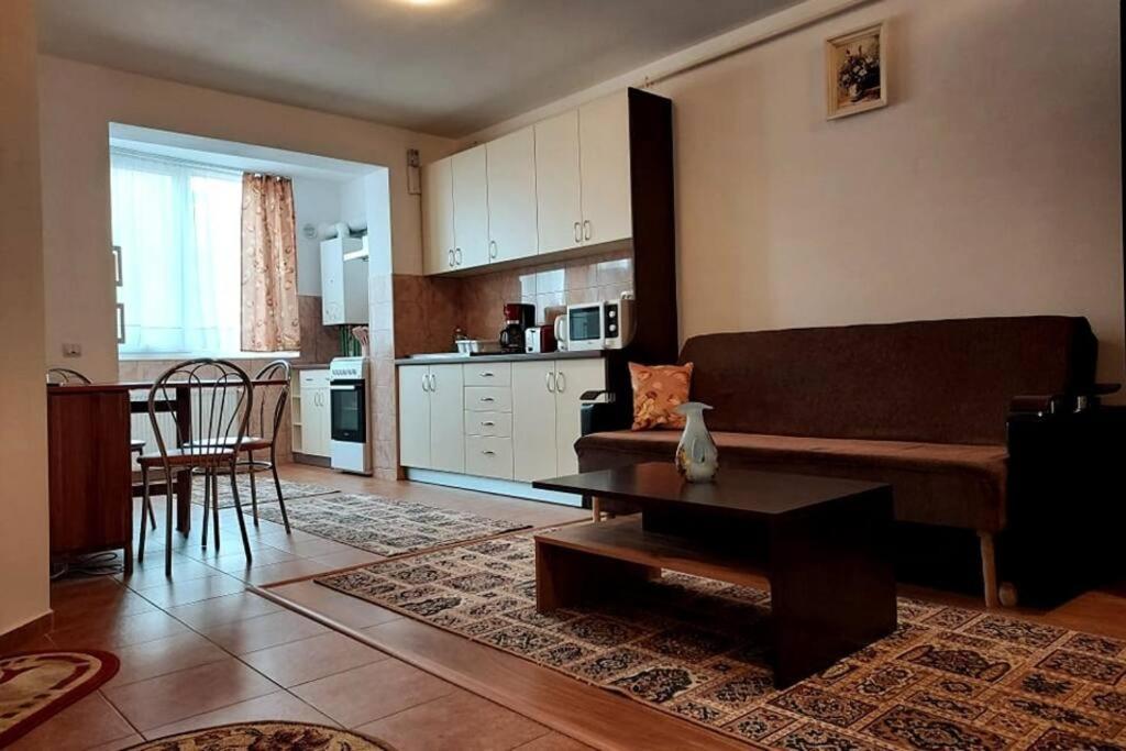 Spacious Flat, With Free Parking & Air Conditioning Флорешть Екстер'єр фото