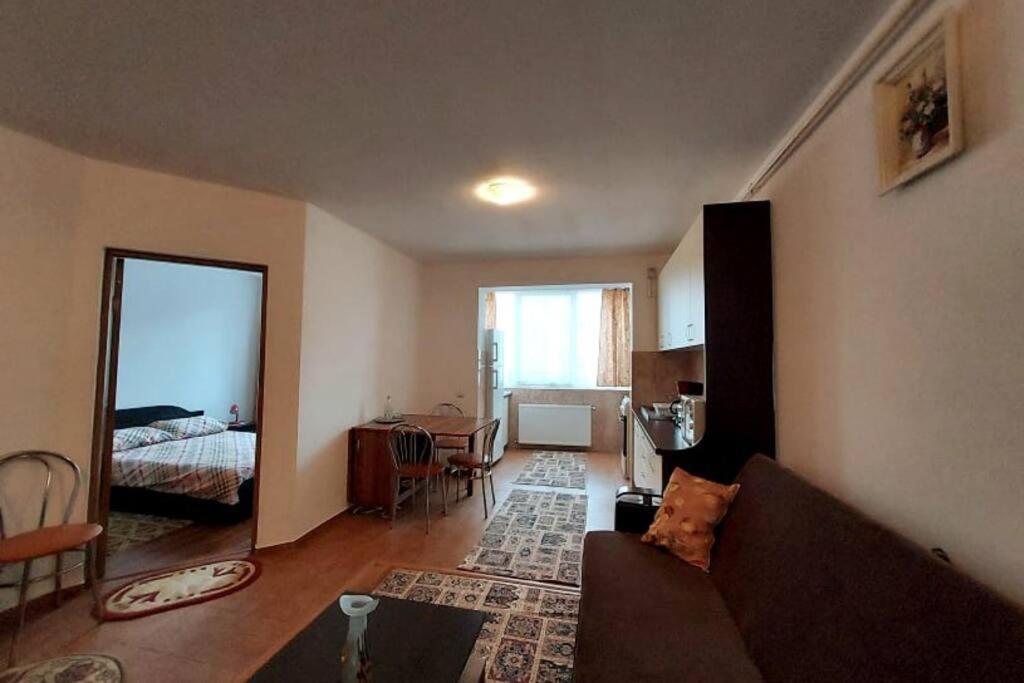 Spacious Flat, With Free Parking & Air Conditioning Флорешть Екстер'єр фото