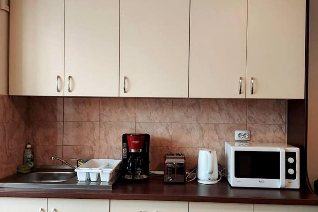 Spacious Flat, With Free Parking & Air Conditioning Флорешть Екстер'єр фото